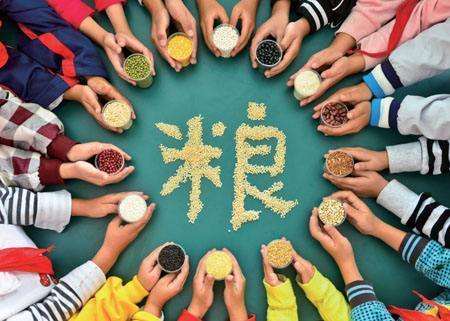 輸送帶廠家：第40個(gè)世界糧食日，食品安全很重要