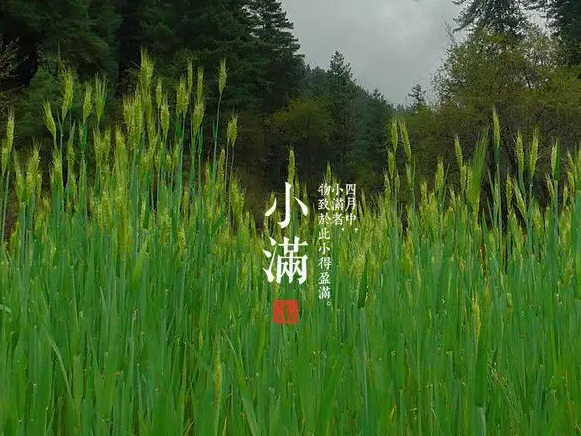 今日小滿(mǎn)，擎川與你一起靜待美滿(mǎn)！